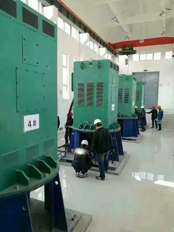 南召某污水处理厂使用我厂的立式高压电机安装现场现货销售